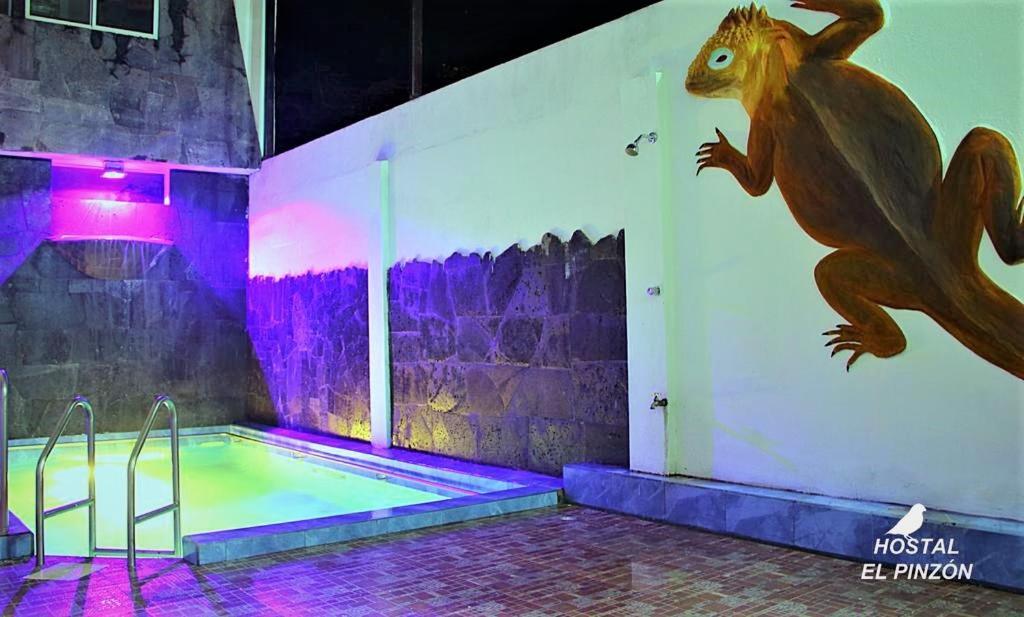 Hostal El Pinzon Puerto Ayora  Zewnętrze zdjęcie